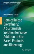 Hemicellulose Biorefinery: A Sustainable Solution for Value Addition to Bio-Based Products and Bioenergy