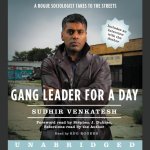 Gang Leader for a Day Lib/E: A Rogue Sociologist Takes to the Streets