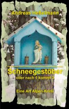 Schneegestoeber - oder nach 1 kommt 3