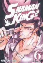 SHAMAN KING 06