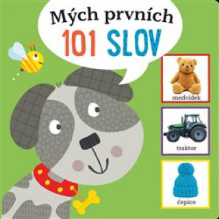 Mďż˝ch prvnďż˝ch 101 slov