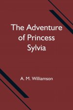 Adventure of Princess Sylvia
