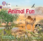 Animal Fun