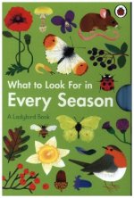 What to Look For in Every Season