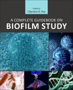 Complete Guidebook on Biofilm Study