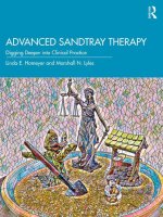 Advanced Sandtray Therapy