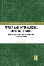 Africa and International Criminal Justice