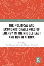 Political and Economic Challenges of Energy in the Middle East and North Africa
