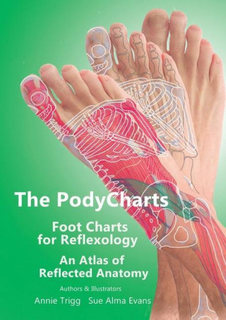PodyCharts foot charts for reflexology