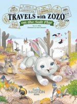 Travels with Zozo...on the Salt Flat