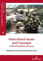 Intercultural Issues and Concepts
