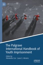 Palgrave International Handbook of Youth Imprisonment