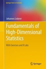 Fundamentals of High-Dimensional Statistics