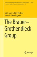 Brauer-Grothendieck Group
