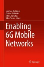 Enabling 6G Mobile Networks