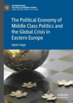 Political Economy of Middle Class Politics and the Global Crisis in Eastern Europe