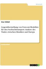Gegenüberstellung von Forecast-Modellen für den Seefrachttransport. Analyse des Trades zwischen Brasilien und Europa