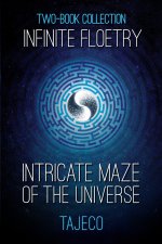 Infinite Floetry & Intricate Maze of the Universe
