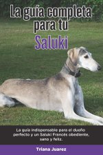 Guia Completa Para Tu Saluki