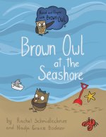 Brown Owl at the Seashore