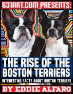 Rise of the Boston Terriers