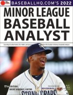 2022 Minor League Baseball Analyst