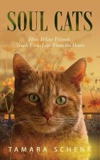 Soul Cats