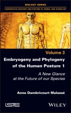 Embryogeny and Phylogeny of the Human Posture 1 - A New Glance at the Future of our Species