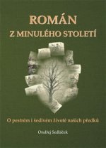 Román z minulého století