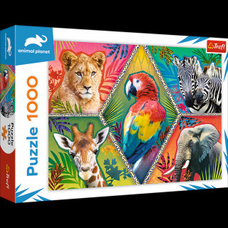 Puzzle 1000 Egzotyczne zwierzęta 10671