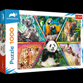 Puzzle 1000 Królestwo zwierząt 10672