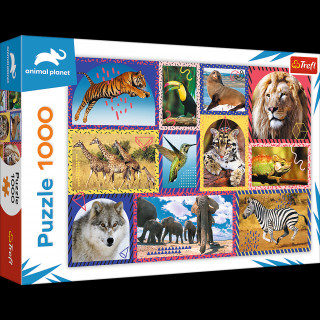 Puzzle 1000 Dzika natura 10673