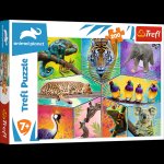 Puzzle Animal Planet Svět exotických zvířat 200 dílků
