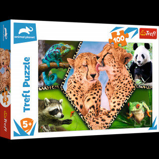Puzzle Animal Planet: Krďż˝snďż˝ pďż˝ďż˝roda 100 dďż˝lkďż˝