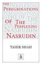 Peregrinations of the Perplexing Nasrudin