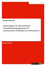 Anpassungen des Betrieblichen Gesundheitsmanagements bei zunehmender Flexibilität des Arbeitsortes