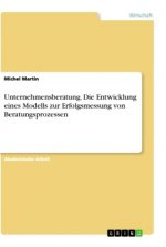 Unternehmensberatung. Die Entwicklung eines Modells zur Erfolgsmessung von Beratungsprozessen