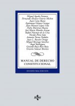 MANUAL DE DERECHO CONSTITUCIONAL