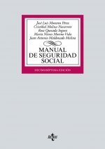MANUAL DE SEGURIDAD SOCIAL