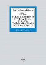 CURSO DE DERECHO INTERNACIONAL PUBLICO Y ORGANIZACIONES INTERNACIONALES