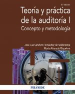 TEORIA Y PRACTICA DE LA AUDITORIA I