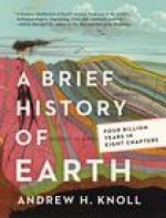 Brief History of Earth