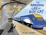 Amazing Life of Boy Cat