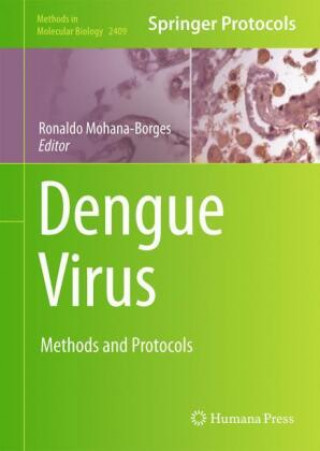 Dengue Virus