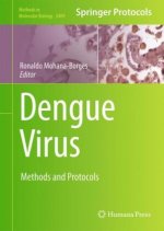 Dengue Virus