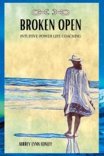 BROKEN OPEN