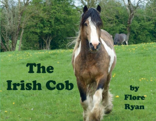 Irish Cob