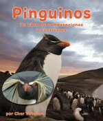 Pingüinos: Un Libro de Comparaciones Y Contrastes: Penguins: A Compare and Contrast Book in Spanish