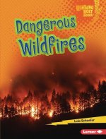 Dangerous Wildfires