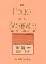 Hound of the Baskervilles & The Valley of Fear (Collector's Edition)